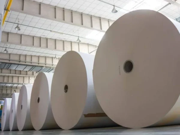 LWC/HWC duplex paper boards - Image 4