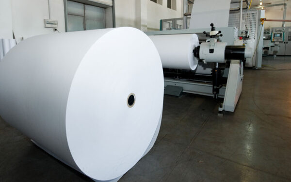 Printed and Unprinted paper board - Image 2