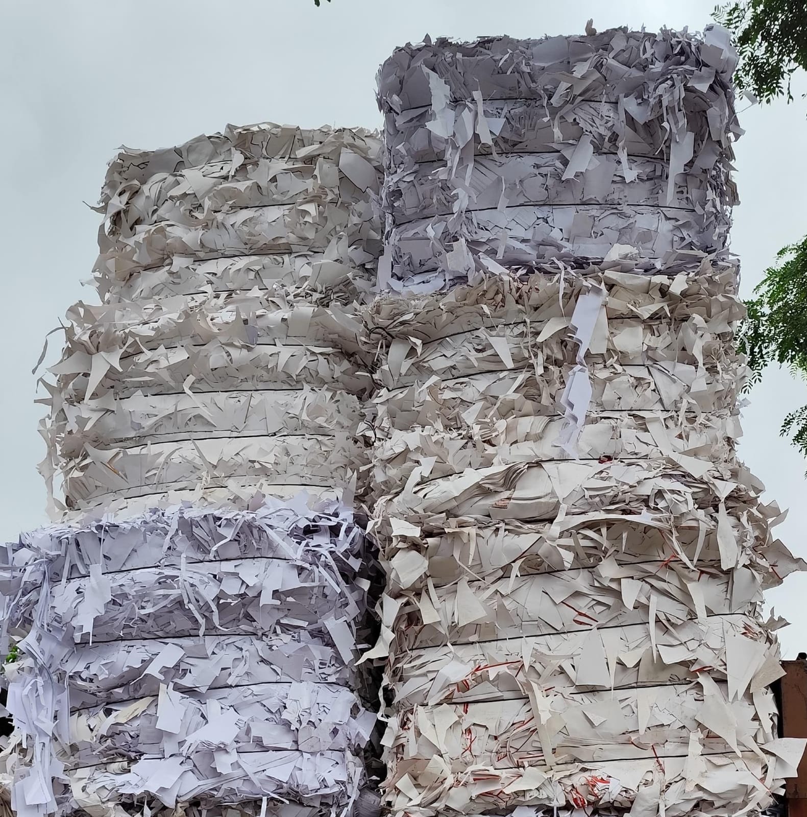 WASTE PAPER