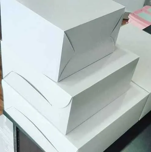 white back duplex board