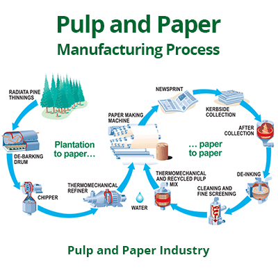 Pulp and Paper Industry