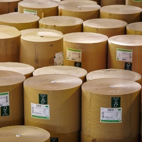 Singapore Paper Market